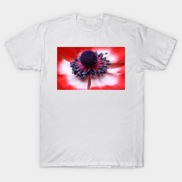 Red Anemone centre and stamens T-Shirt by avrilharris